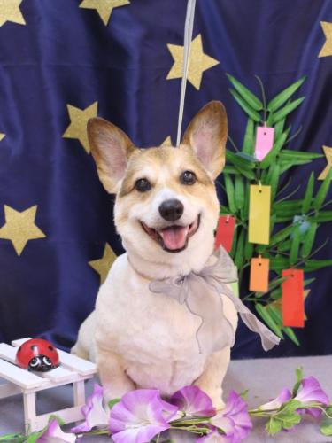 20230713コタロウくん